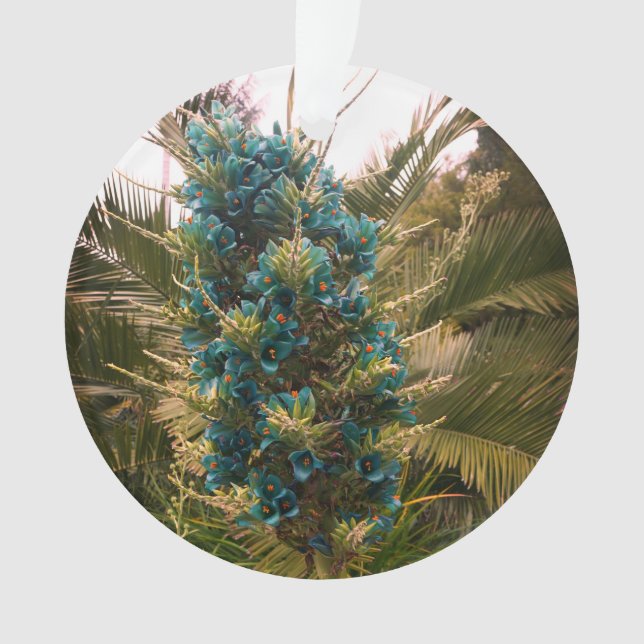 Puya Berteroniana #1 Ornement (devant)