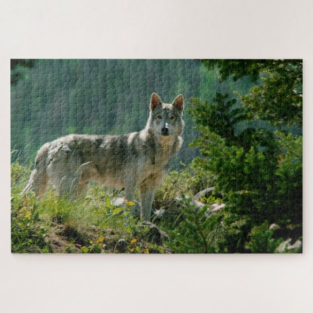 Puzzle (Horizontal)