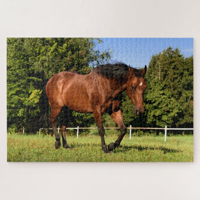 puzzle (Horizontal)