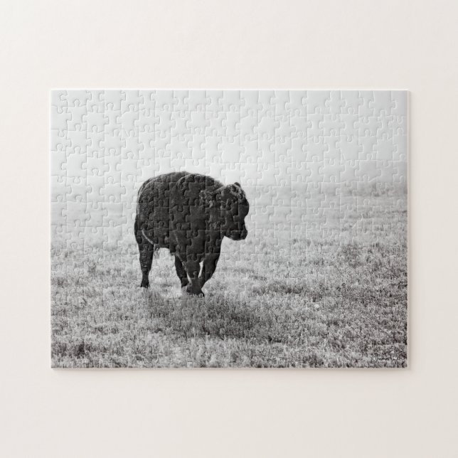 Puzzle 11x14 Bull On Ice by Amanda Smith Wyoming (Horizontal)