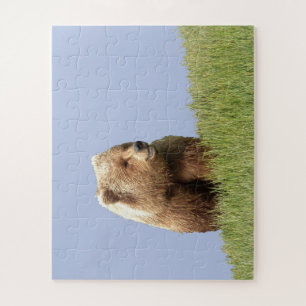 Puzzle 16x20 "56 pièces surdimensionnées" de grizz