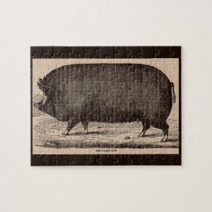 Puzzle 19th century farm animal print Berkshire sow no. 2