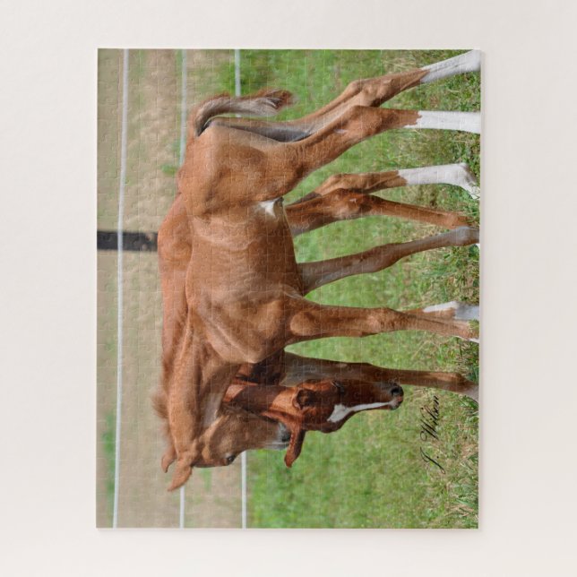 Puzzle 1 de bébés de BOGO (Vertical)