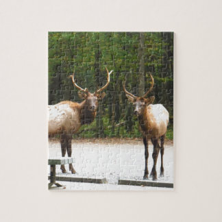 Puzzle 2 Elk Rocky Mountain