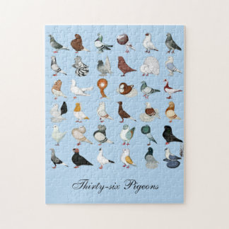 Puzzle 36 races de pigeons