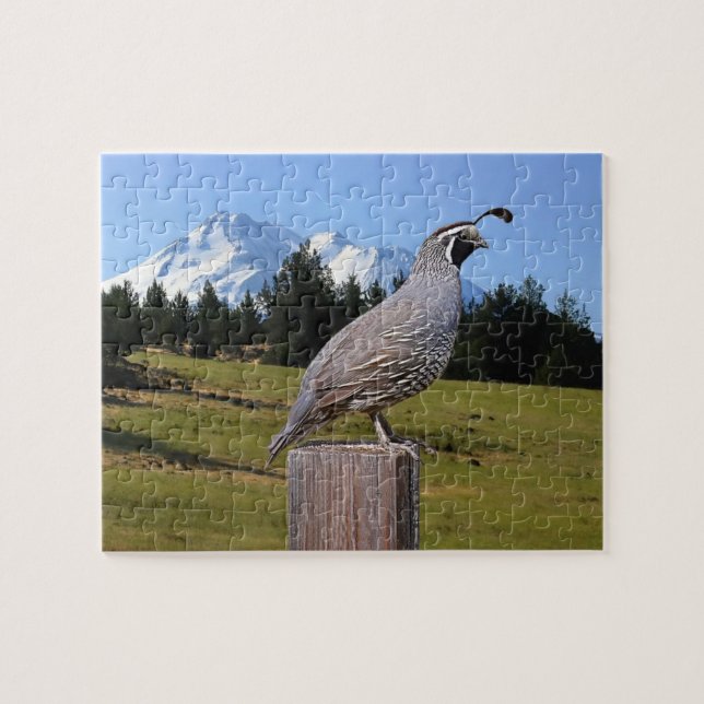 PUZZLE 59 COURRIER SUR DREAM POINT (Horizontal)