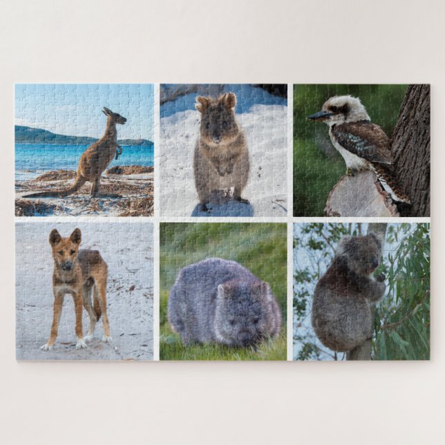 Puzzle 6 en 1 Animaux d'Australie, 1014 pièces (Horizontal)