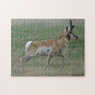 Puzzle A32 Pronghorn Antelope