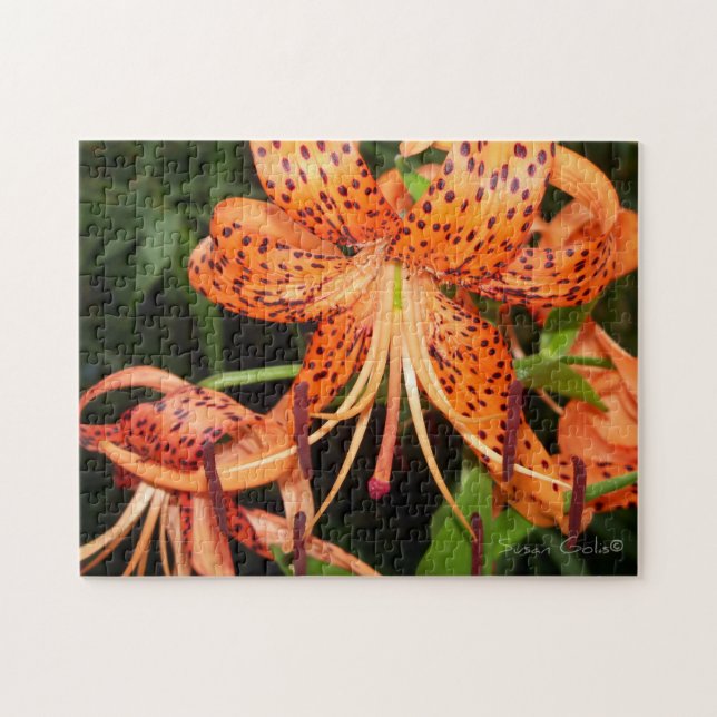 Puzzle à fleurs de tigre orange (Horizontal)