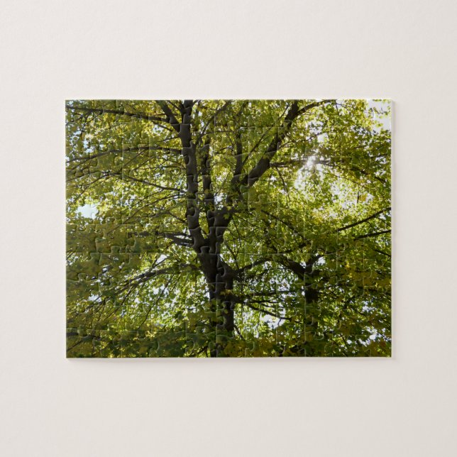 Puzzle À l'intérieur d'une érablière jaune automne (Horizontal)