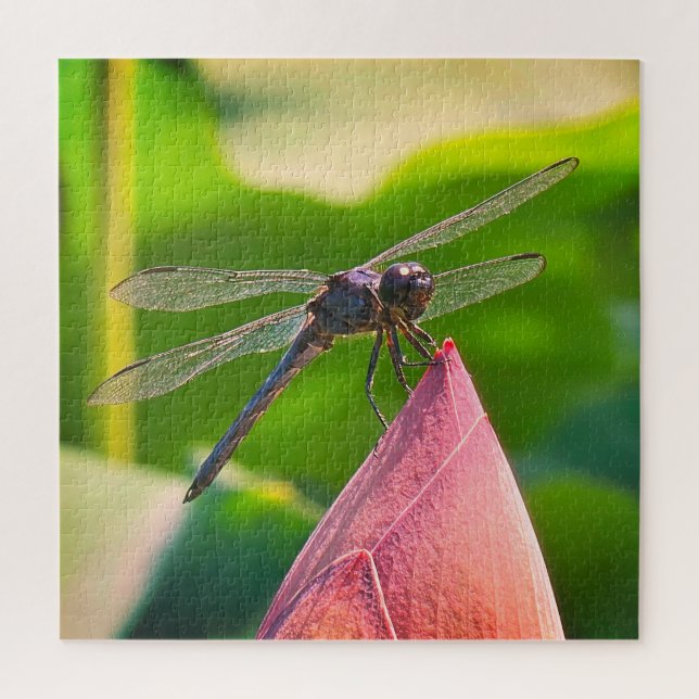Puzzle A Slaty Skimmer dragonfly (Vertical)