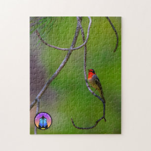Puzzle à tête rouge