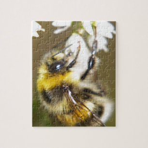 Puzzle Abeille chanceuse