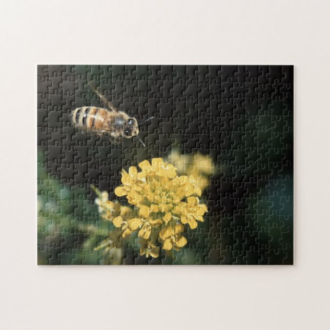 Puzzle abeille de miel (Horizontal)