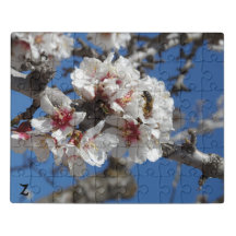 Abeille en fleurs d'amandes