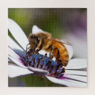 Puzzle Abeille sur une fleur
