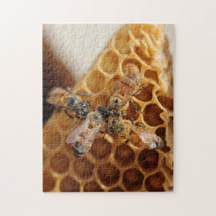 Puzzle Abeilles à miel du Texas   Honeypeb Hive