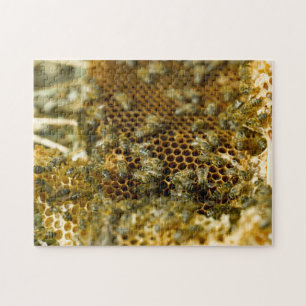 Puzzle Abeilles dans une ruche, Western Cape, Afrique du