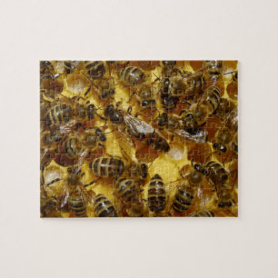 Puzzle Abeilles de miel dans la ruche avec la reine au