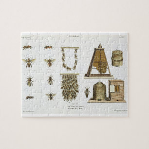 Puzzle Abeilles et apiculture, "du jeune terrien", p