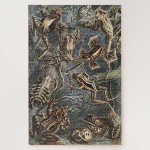 Puzzle Academia Noire Haeckel Impression Vintage Grenouil
