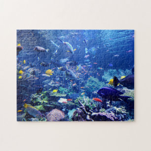 Puzzle Accueil École de poisson