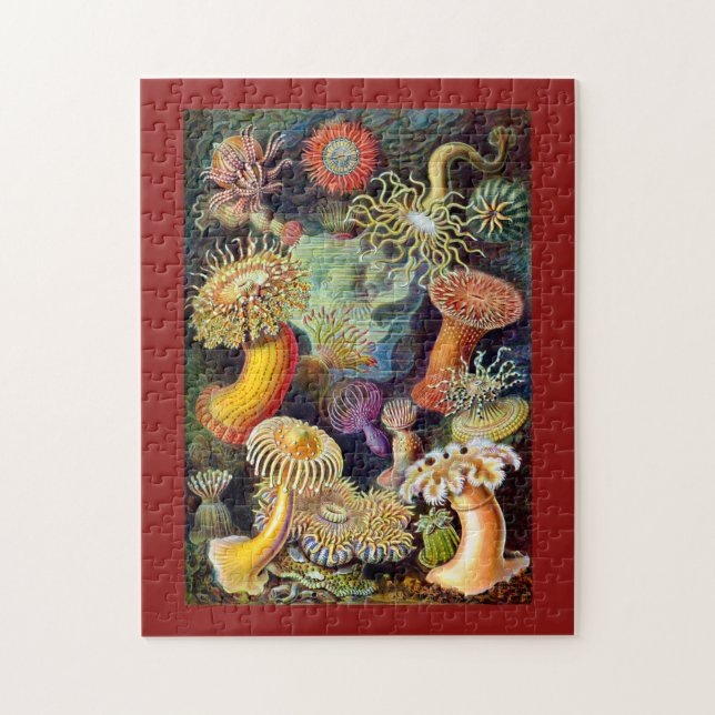 Puzzle Actiniae par Ernst Haeckel (Vertical)