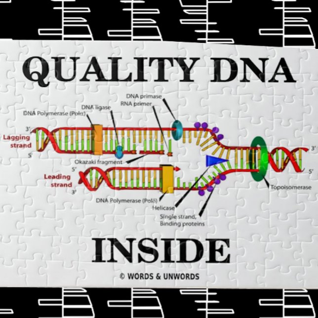 Puzzle ADN de qualité à l'intérieur (réplication de l'ADN (Jigsaw puzzle for anyone with "Quality DNA Inside")