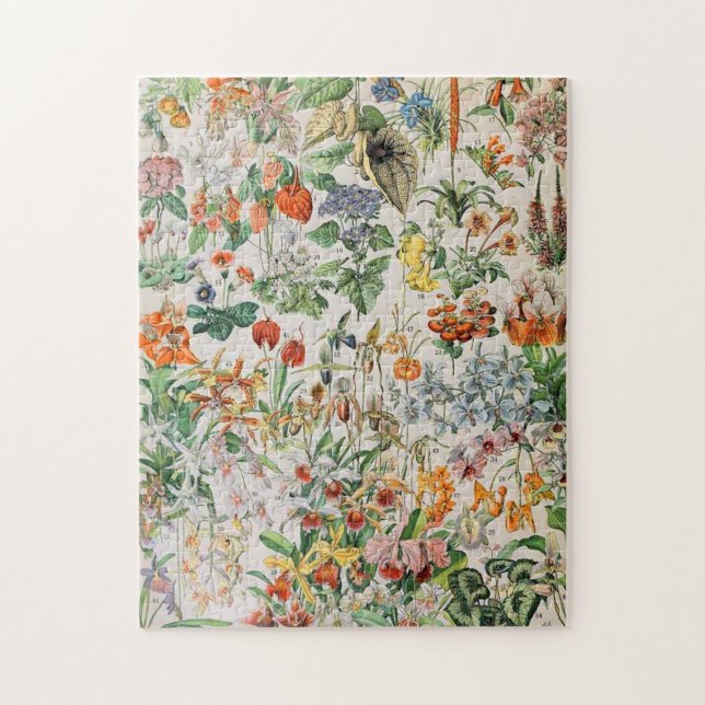 Puzzle Adolphe Millot fleurs D (Vertical)