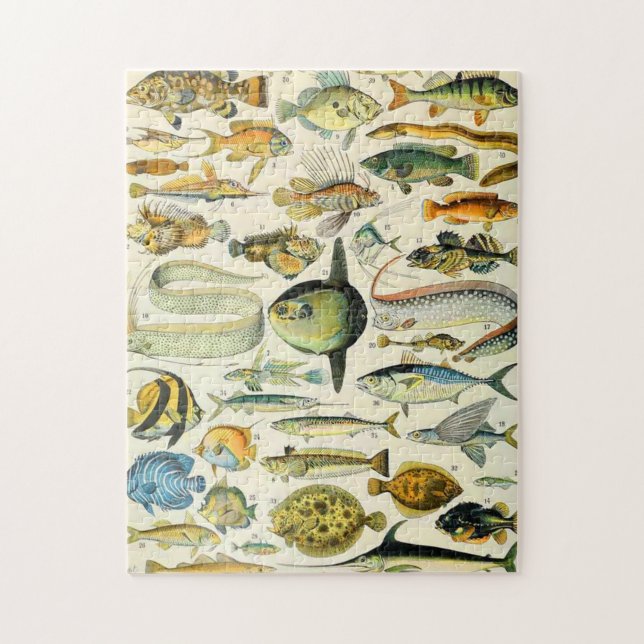 Puzzle Adolphe Millot poisson A (Vertical)