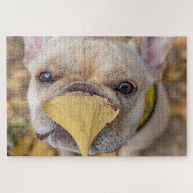 Puzzle Adorable Chien de France (Horizontal)