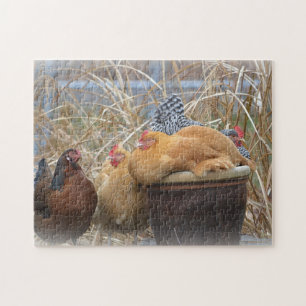 Puzzle adorable de poulet