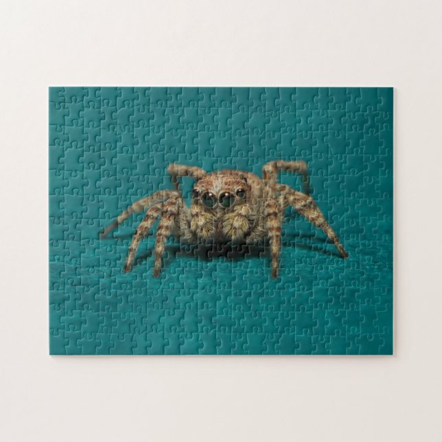 Puzzle Adorable Jumping Spider Animal Photographie (Horizontal)