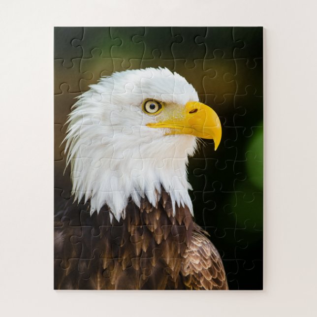 Puzzle Adulte Patriotique Adulte (Vertical)