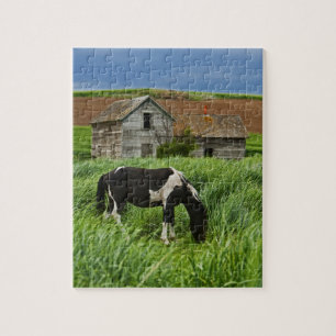 Puzzle Affichage des chevaux dans un champ de la Palouse