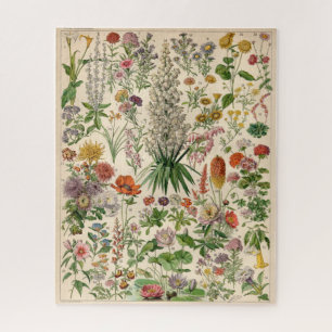 Puzzle Affiche vintage de fleurs botaniques