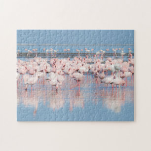 Puzzle Africa, Namibie, Walvis Bay