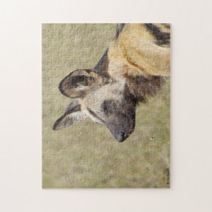 Puzzle africain de chien sauvage