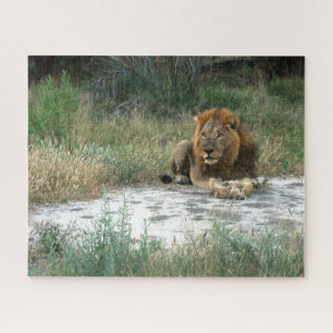 Puzzle africain Lion
