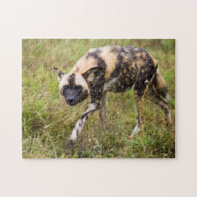 Puzzle African Wild Dog, Madikwe Game (Horizontal)
