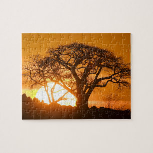 Puzzle Afrique, Botswana, Coucher de soleil silhouette Ba