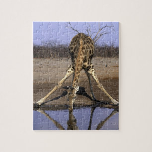 Puzzle Afrique, Botswana, Parc national de Chobe, Girafe