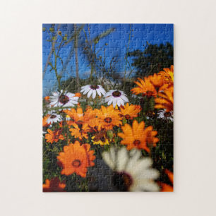 Puzzle Afrique du Sud Wild Namaqualand Fleurs