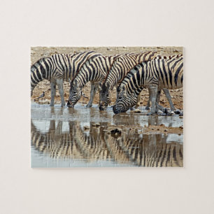 Puzzle Afrique, Namibie, Etosha NP. Zebra de Burchell