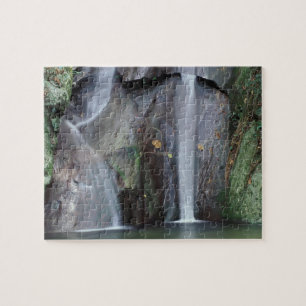 Puzzle Afrique, Ouganda, Forêt tropicale impénétrable de