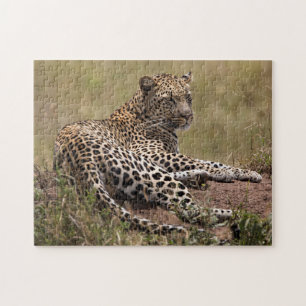 Puzzle Afrique, Tanzanie, Serengeti. Leopard