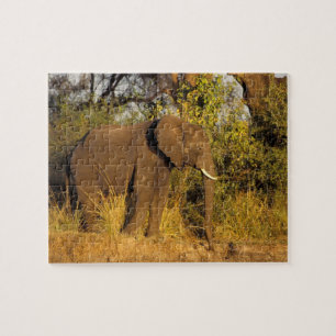Puzzle Afrique, Zimbabwe, Victoria Falls National Park.