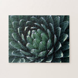 Puzzle Agave vert