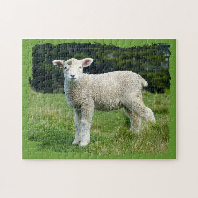 Puzzle Agneau boueux mignon dans la conception de bord en (Horizontal)