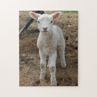 Puzzle Agneau de printemps